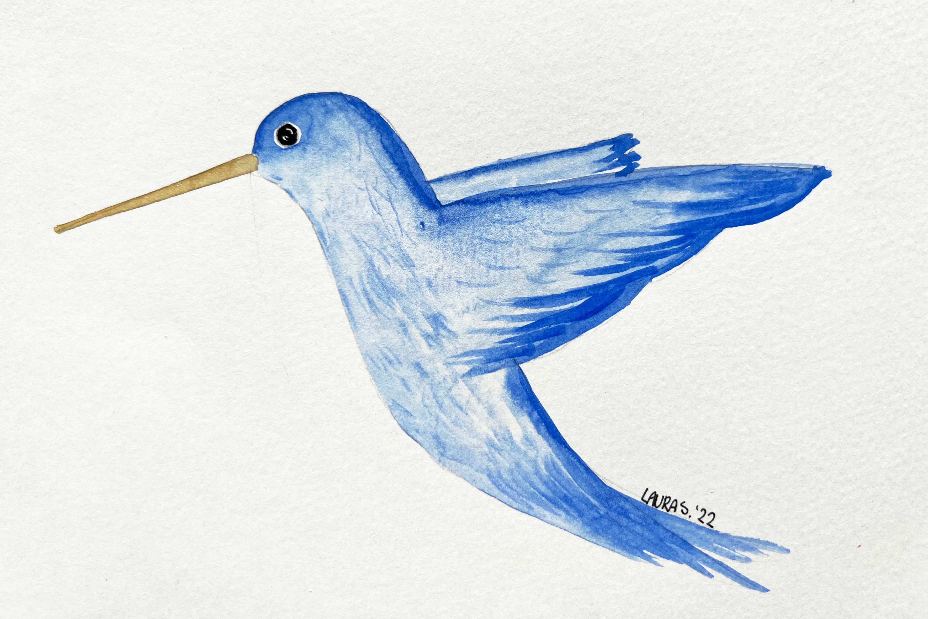 Berkeley Bird