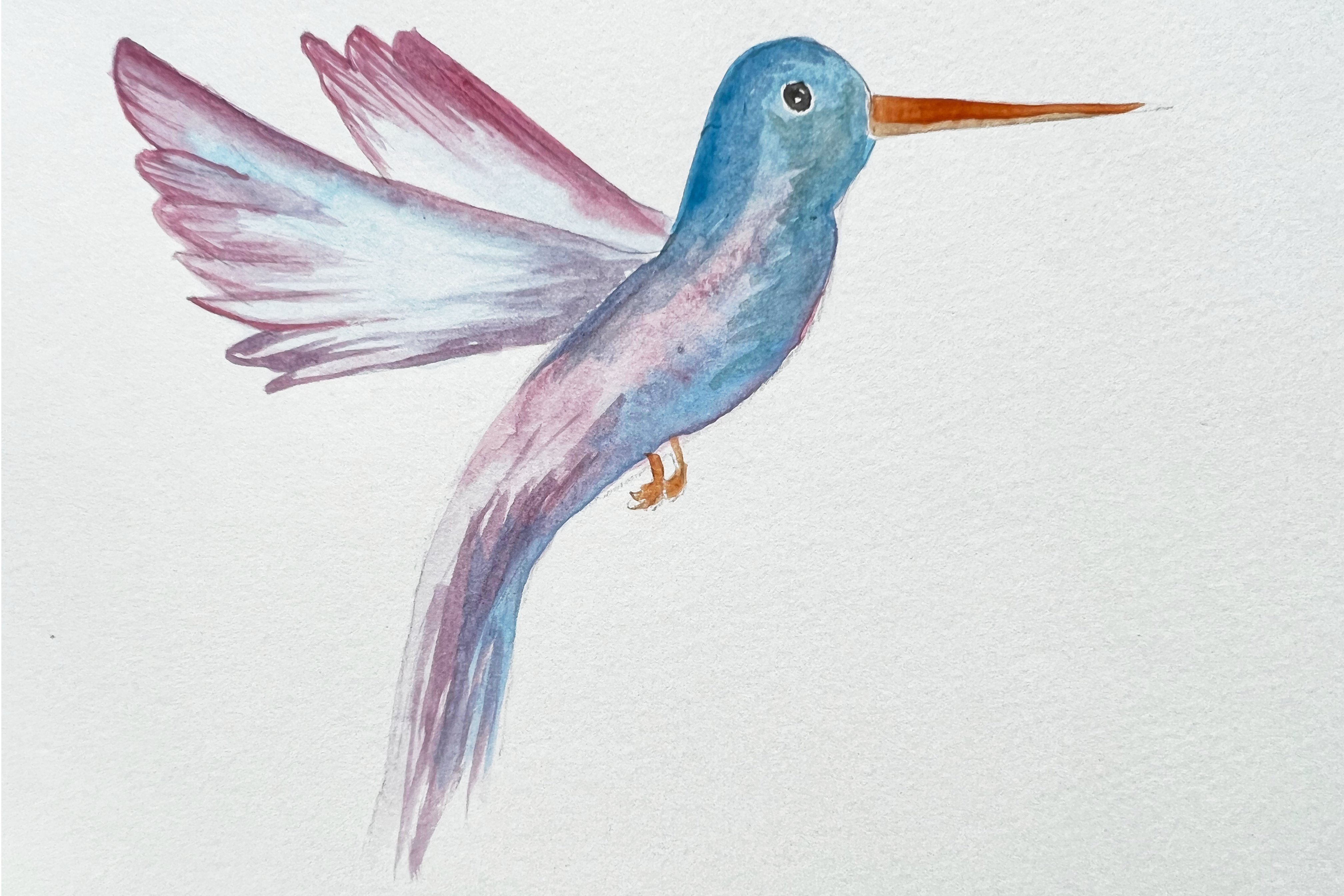 Berkeley Bird