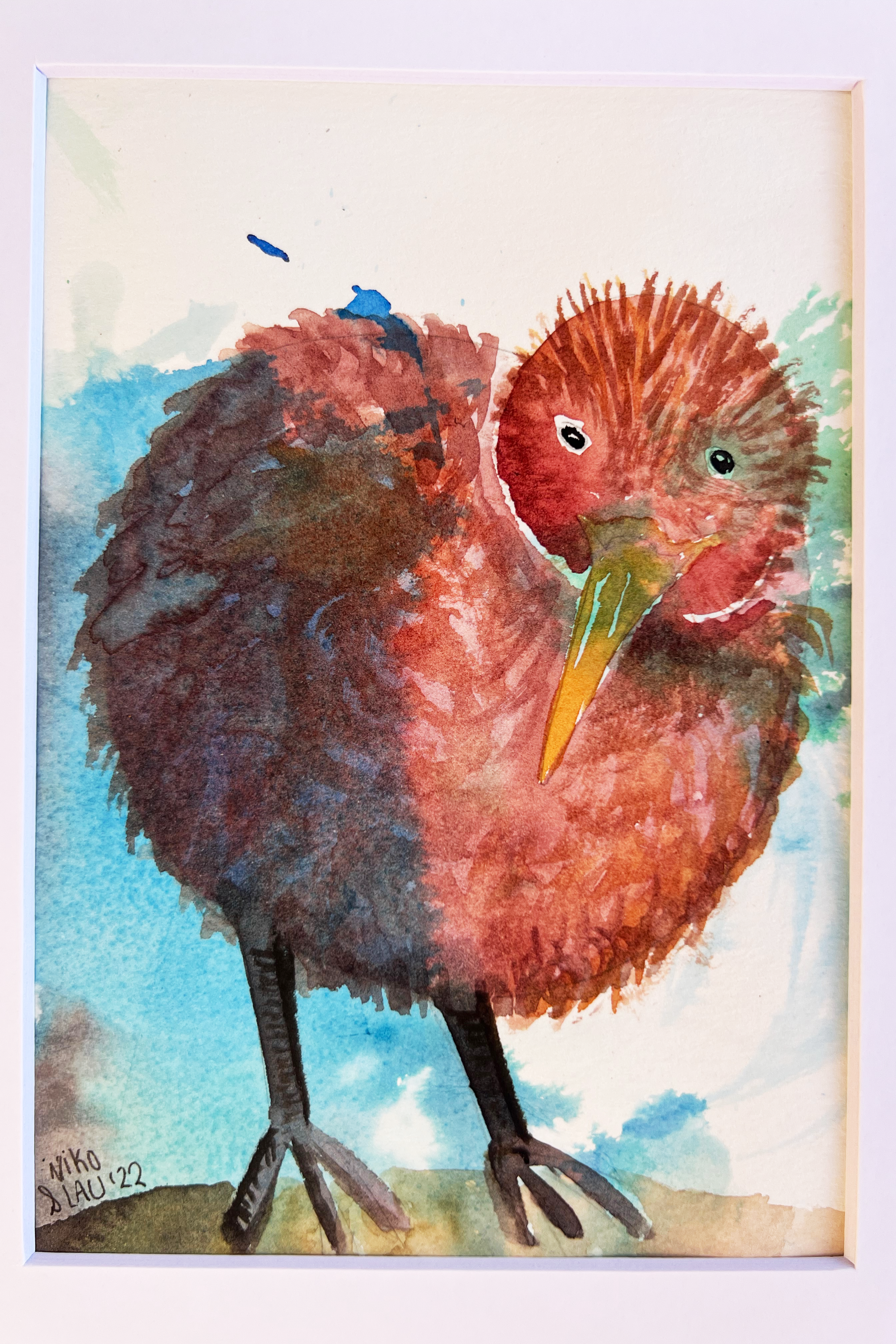 Kiwi