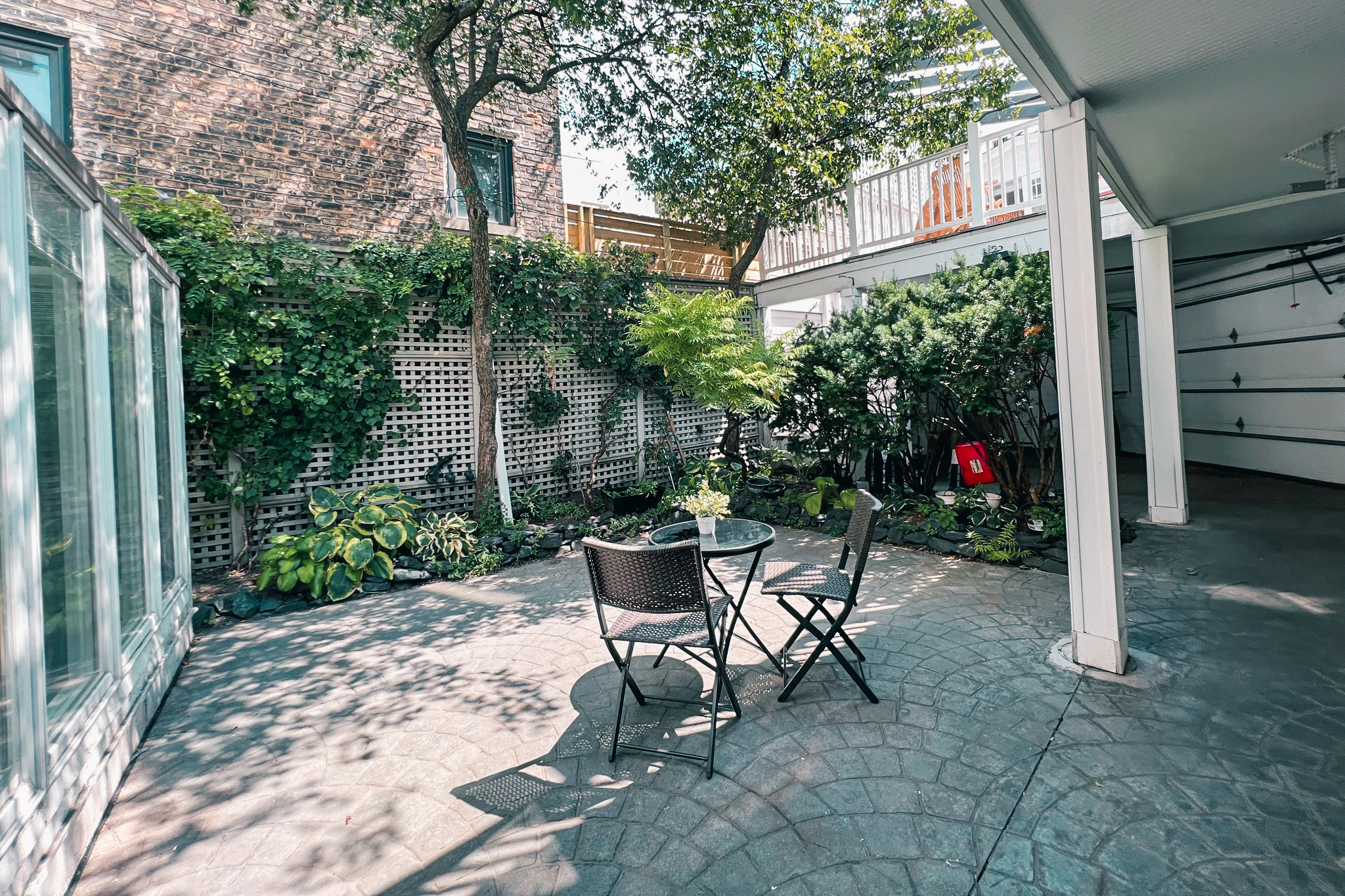 Our back yard